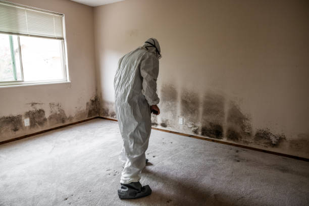 Best Professional Mold Removal  in Yuma, CO